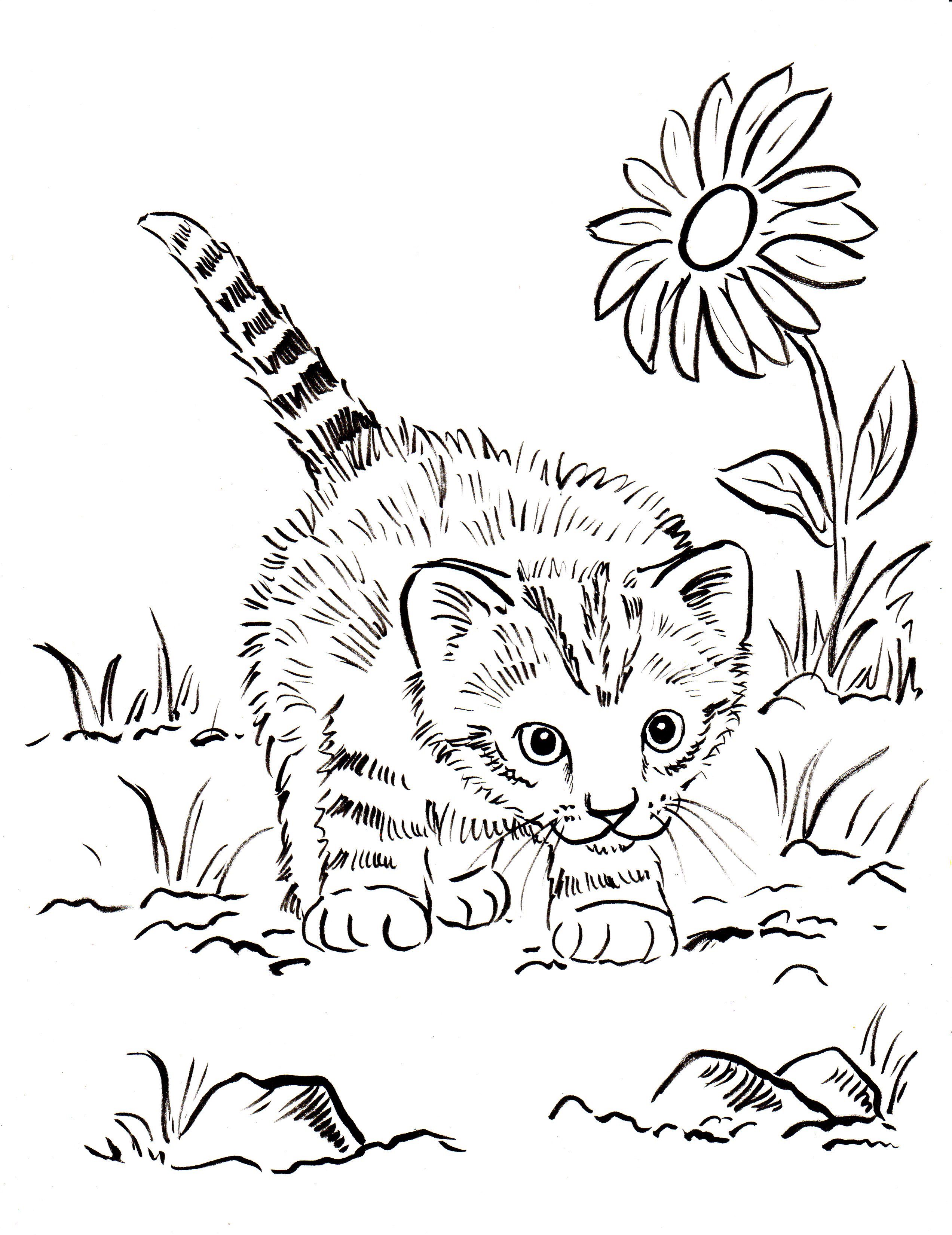 Fun Colorin Page Quality Kitten Coloring Pages Free | Walker Art